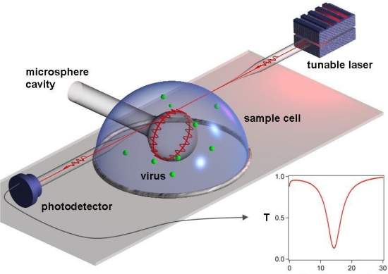 SMALL VIRUS SENSOR